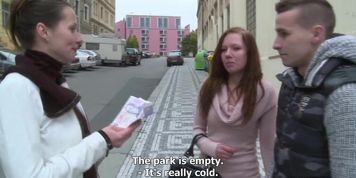 Swingers In The Park