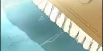 Hentai tentaculos