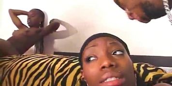 Orgy World Brown and Round 1 Part 1