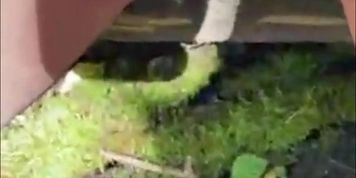 I Stopped On the Side of the Road to Rub My Slut Pussy For You