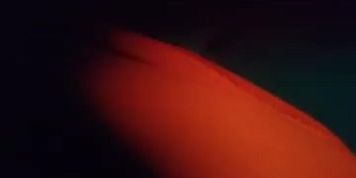 Have (Tiny Dick)