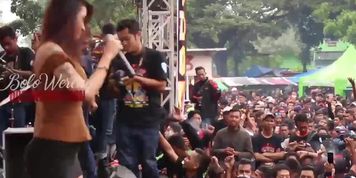 dandut