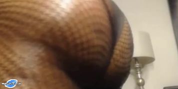 Best Oiled Ass in Universe Continue on MyPornox com