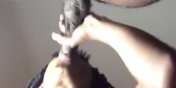 Sloppy Ass Headd! (Fatpussy, Nestee Shy)