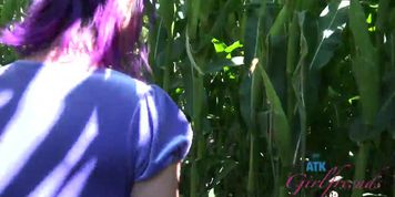 Lily Adams Corn Maze