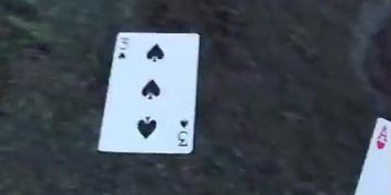 Sudden death