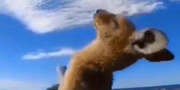 mfc public...