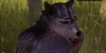Wild Life / Female Furry Masturbation Compilation HD (Andrea Sultisz)
