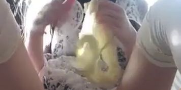 pussy solo