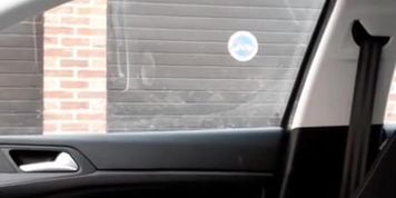 Cock Flash In Car